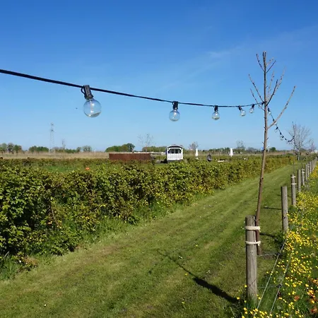 Het Schapenlandje Bed & Breakfast Waarland