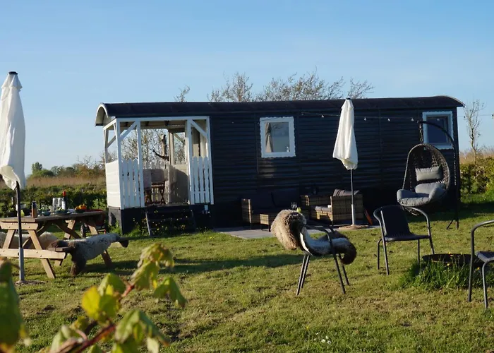 Het Schapenlandje 3* Waarland