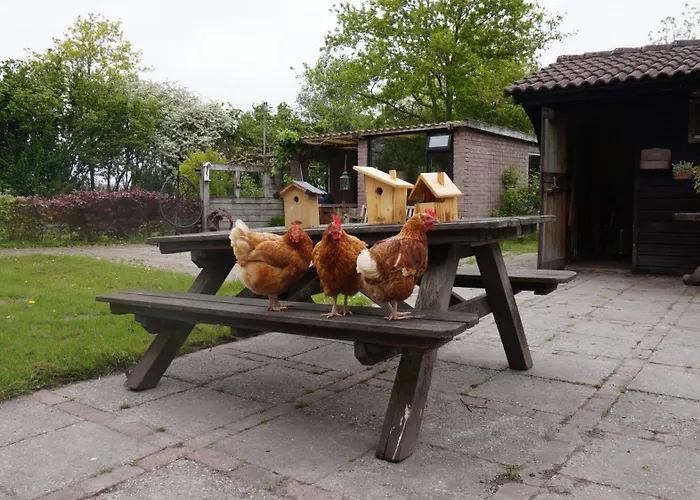 Het Schapenlandje Bed & Breakfast Waarland