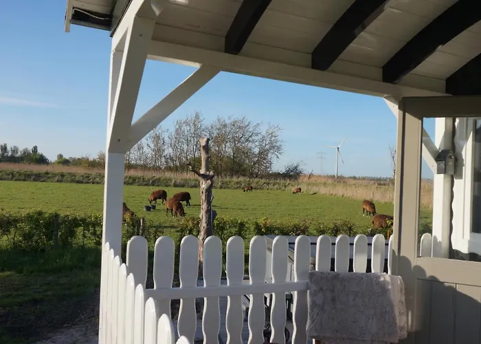 Het Schapenlandje Waarland