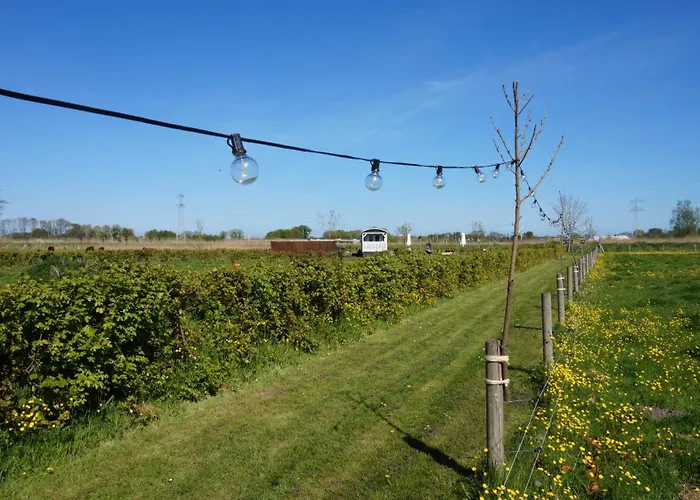Het Schapenlandje Bed & Breakfast Waarland