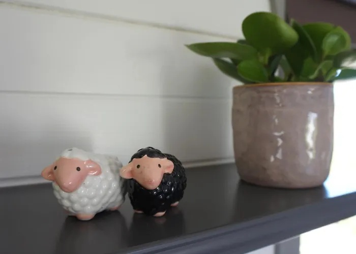 Het Schapenlandje Bed & Breakfast