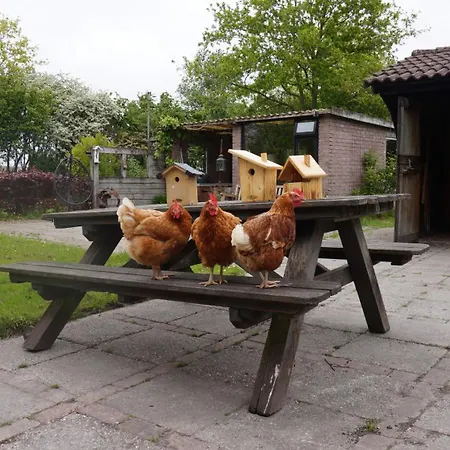 Het Schapenlandje Oda ve Kahvaltı Waarland